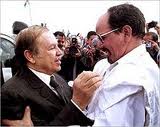 ABDELAZIZ eL morrakouchi 3